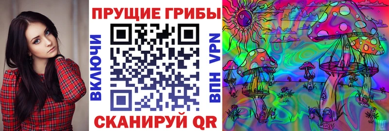 Купить закладки  Кущёвская  Галлюциногенные грибы Psilocybine cubensis 